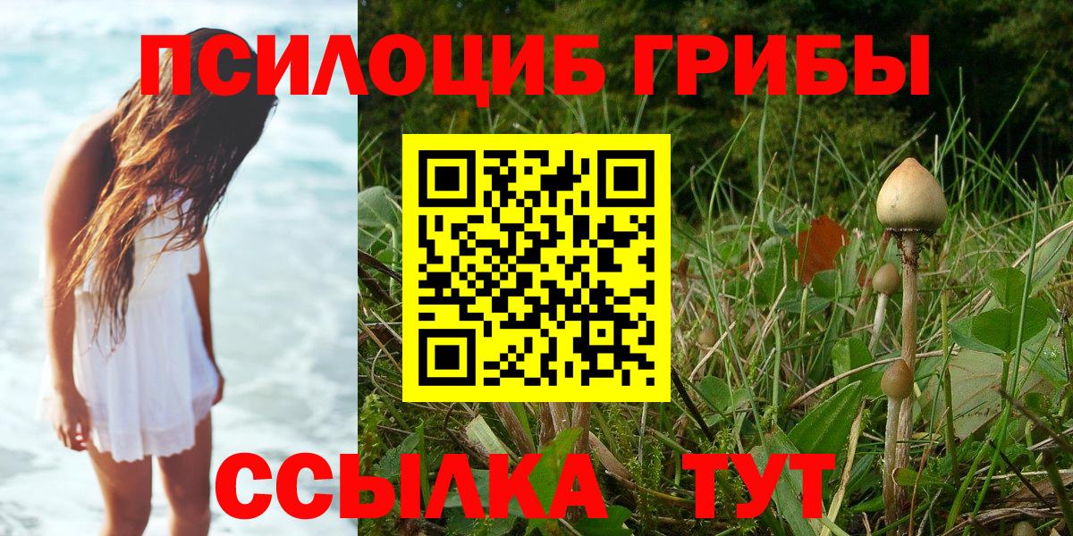 Борзя  купить закладку  Вход с VPN  Галлюциногенные грибы мухоморы 